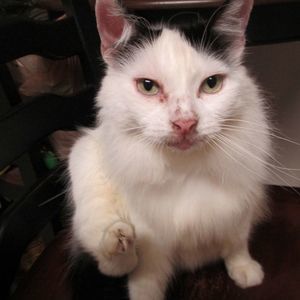 Meet your Posher, Julie